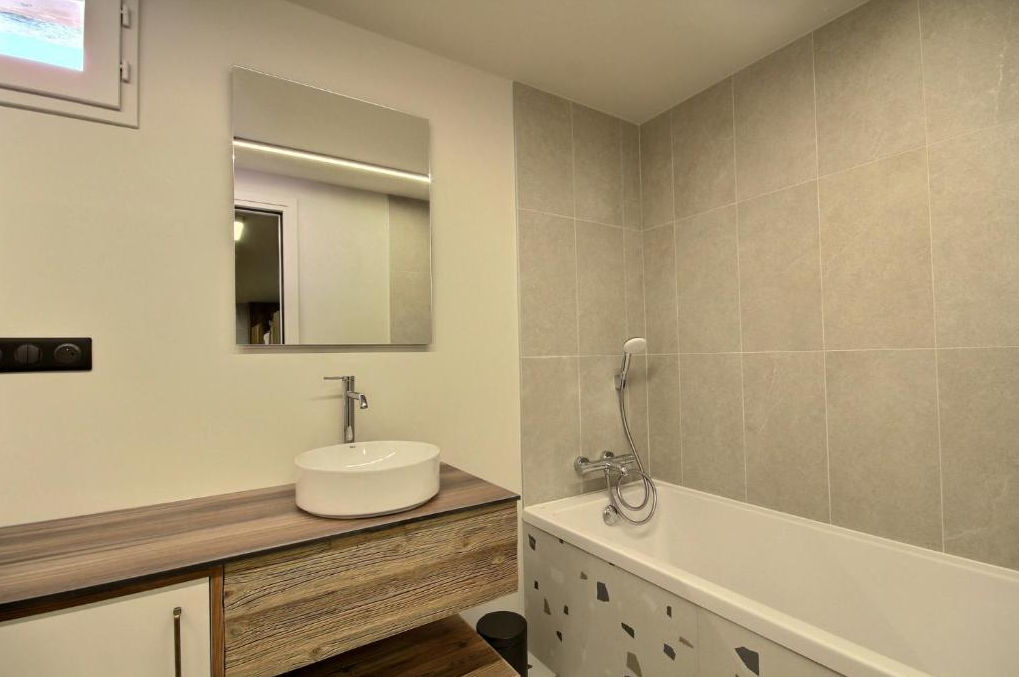 Chalet-Plagne-Soleil-REF74154785