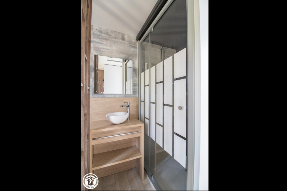 Chalet-Chambon-sur-Lac-REF0852963