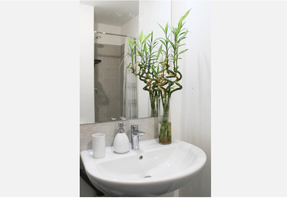 Appartement-Saint-Denis-REF7539635