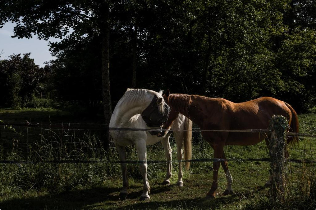 Domaine-Sainte-Suzanne-REF7418526